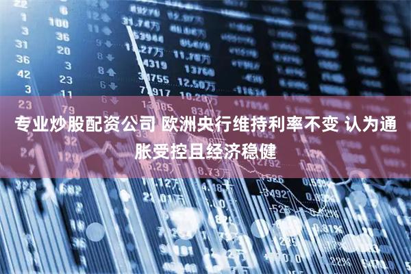 专业炒股配资公司 欧洲央行维持利率不变 认为通胀受控且经济稳健